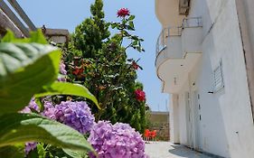 Vila Leka