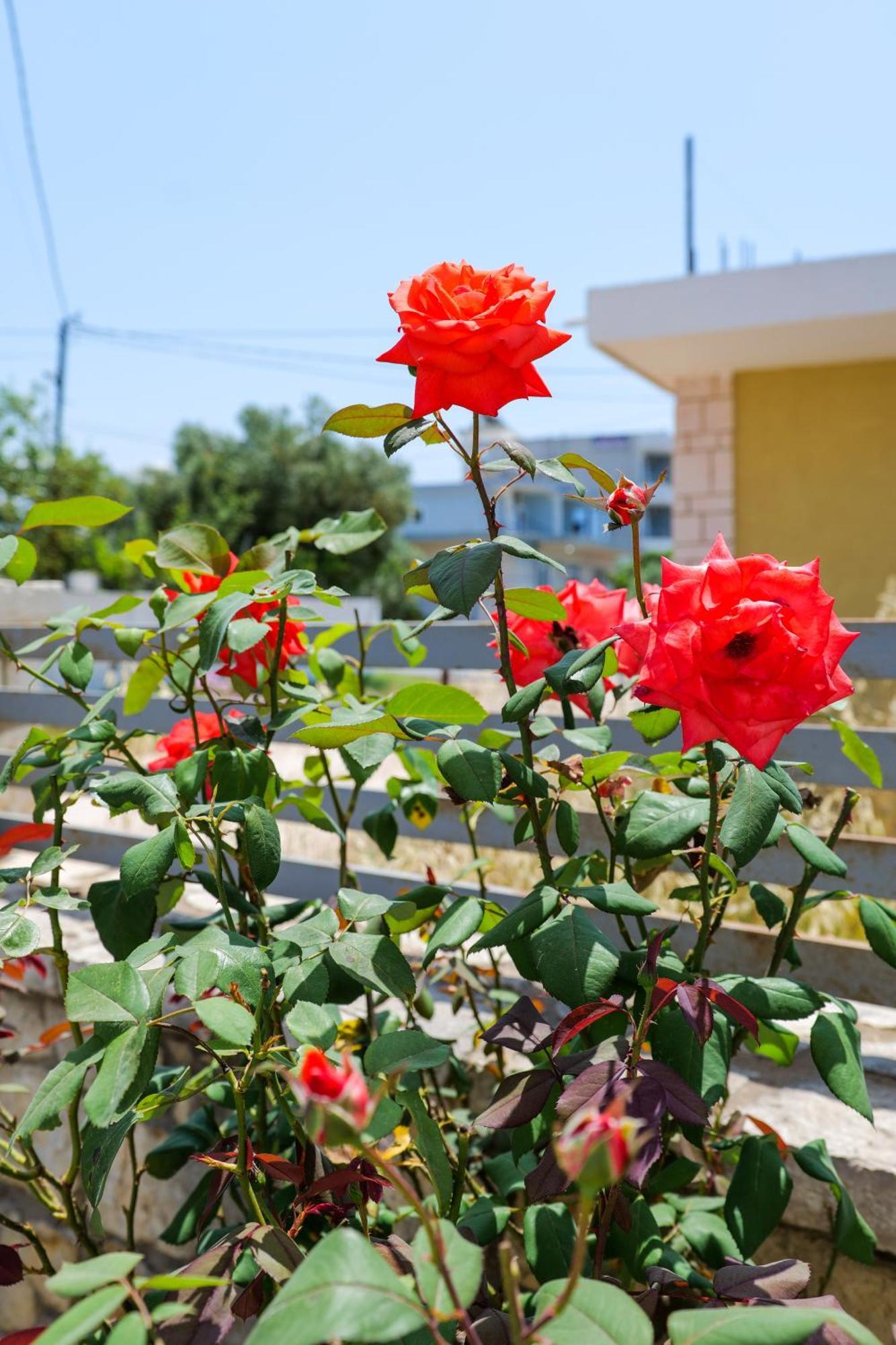 Vila Leka Ksamil Extérieur photo